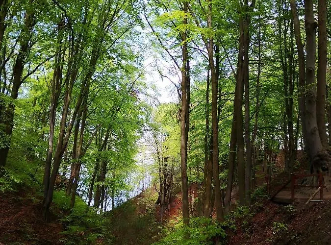 Zdrojowy Lägenhet Jastrzębia Góra